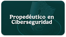 Propedéutico Ciberseguridad